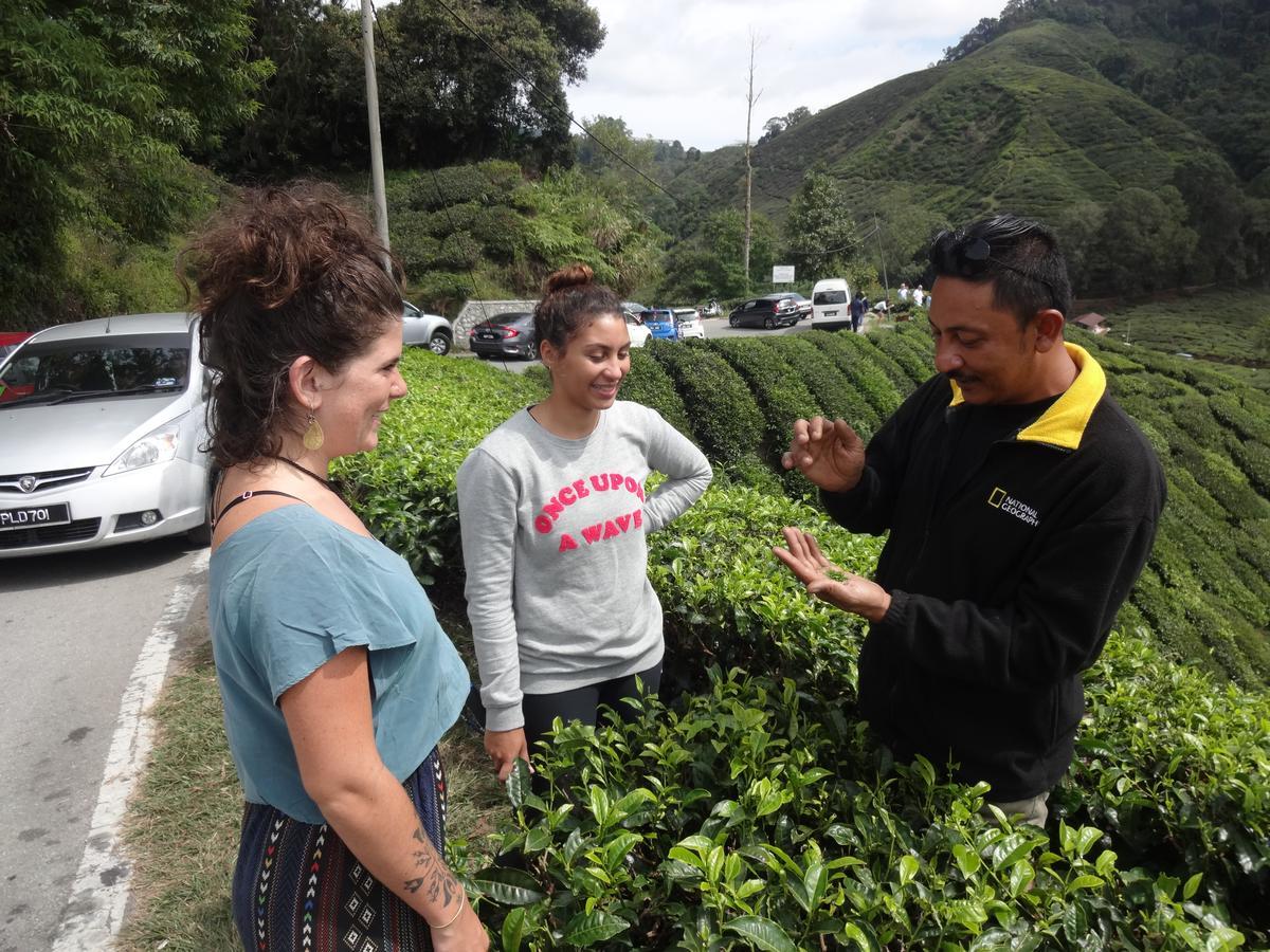 Orchid Haven Hostel Cameron Highlands Buitenkant foto