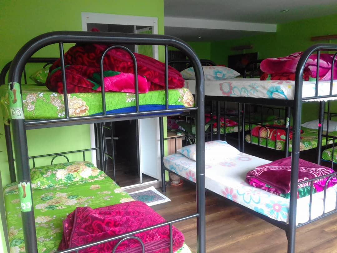 Orchid Haven Hostel Cameron Highlands Buitenkant foto