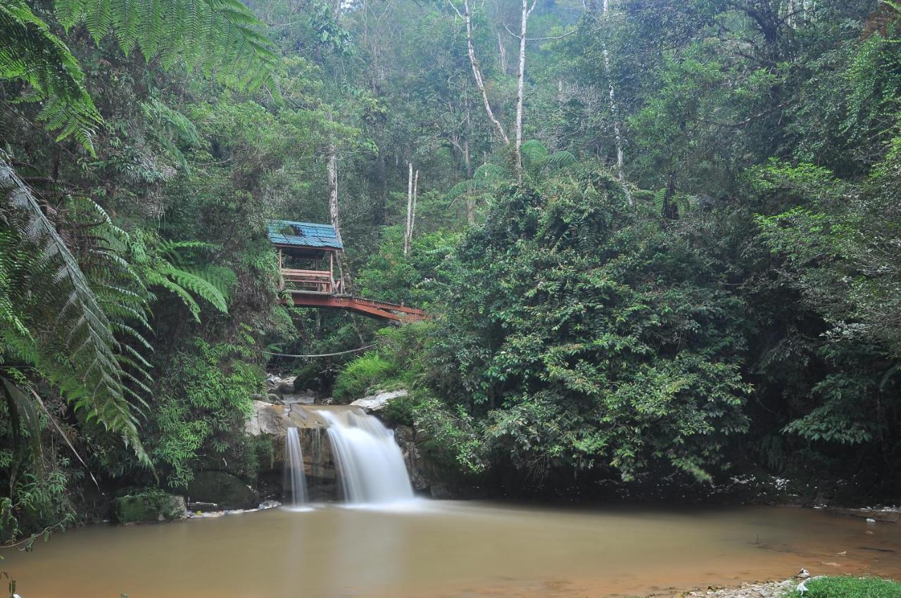 Orchid Haven Hostel Cameron Highlands Buitenkant foto